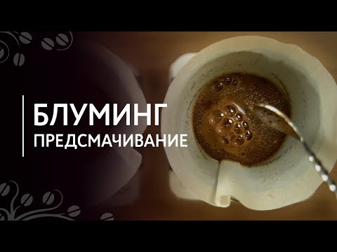 Блуминг или предсмачивание при заваривании кофе