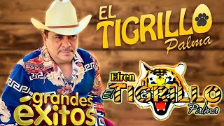🔥 El Tigrillo Palma | Corridos Perrones de Pura Calidad 💯 ¡Grandes Éxitos!