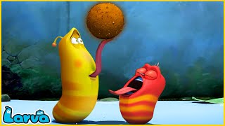 LARVA | DELICIOUS BAIT | CARTOON MOVIE FOR LIFE | THE BEST OF CARTOON |HILARIOUS CARTOON COMPILATION by ENJO Cartoon Việt Nam 24,727 views 4 weeks ago 1 hour, 6 minutes