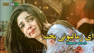 A Zama Lewany Bahati Pashto New Songs | Slowed Reverb  | 2023 | ‎@harisofficial5869