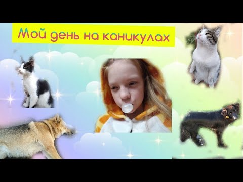 Мой день на