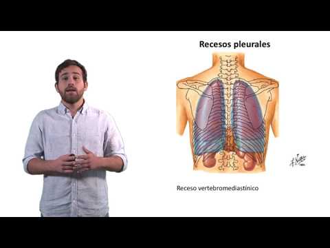 Vídeo: ¿Cuánto Dura La Pleuresía? Que Esperar