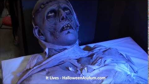 It Lives Animated Mummy Prop - HalloweenAsylum.com