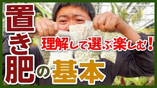 【観葉植物】これですっきり！肥料のあたえ方について