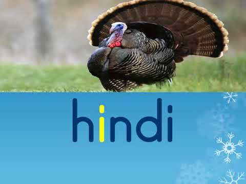 İ SESİ DİK TEMEL HARFLER 1.SINIF HİSSETTİRME PEKİŞTİRME MÜZİKLİ video