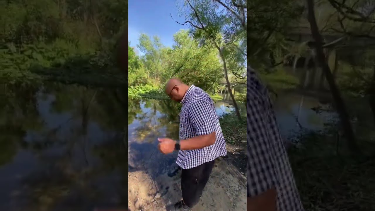 How To Tell If Gators Are In The Water Shorts Alligator