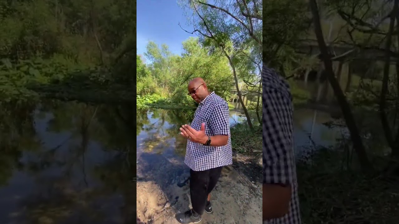 How To Tell If Gators 🐊 Are In The Water 