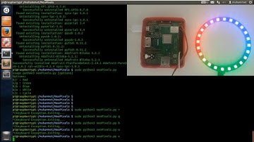 Raspberry Pi Neopixel RGB Led
