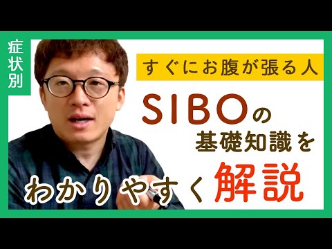 【基本】SIBO（小腸内細菌異常増殖症）の基礎知識をわかりやすく解説
