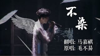 【TNT时代少年团 马嘉祺】TF家族新年音乐会 马嘉祺翻唱《不染》【Ma JiaQi】