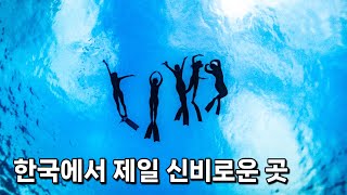 와....미쳤다..진짜 차원이 다른 울릉도 프리다이빙 여행🌊3박 4일 몰아보기🍿 [1~3편 합본]