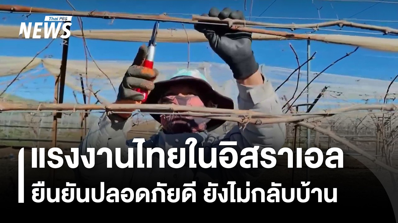 แรงงานไทยในอิสราเอลยืนยันปลอดภัยดี ยังไม่กลับบ้าน | Thai PBS news
