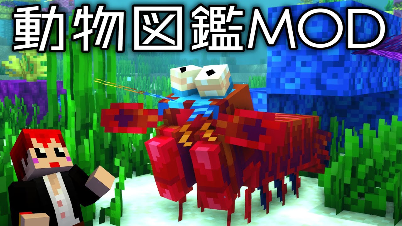 #16【動物図鑑MOD】お寿司屋さんでシャコの事をガレージ(車庫)と注文すると…?【あかがみん/赤髪のとも】 #16【動物図鑑MOD】お寿司屋さんでシャコの事をガレージ(車庫)と注文すると…?【あかがみん/赤髪のとも】