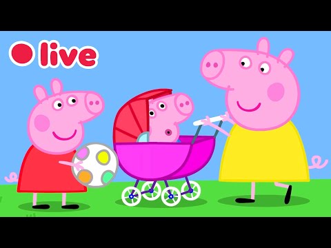 Peppa Pig IN DIRETTA Episodi Completi Cartoni Per Bambini Peppa Pig Italiano