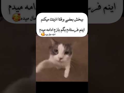 ببخش بعضی وقتا تنهایی عشق Edit من Foryou احساس کلیپ زندگی عاشقانه تیک تاک اکسپلور
