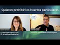 Quieren prohibir los huertos particulares  juan zaragoza