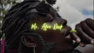 AfroZone ft Natali - Se Siente Abelha