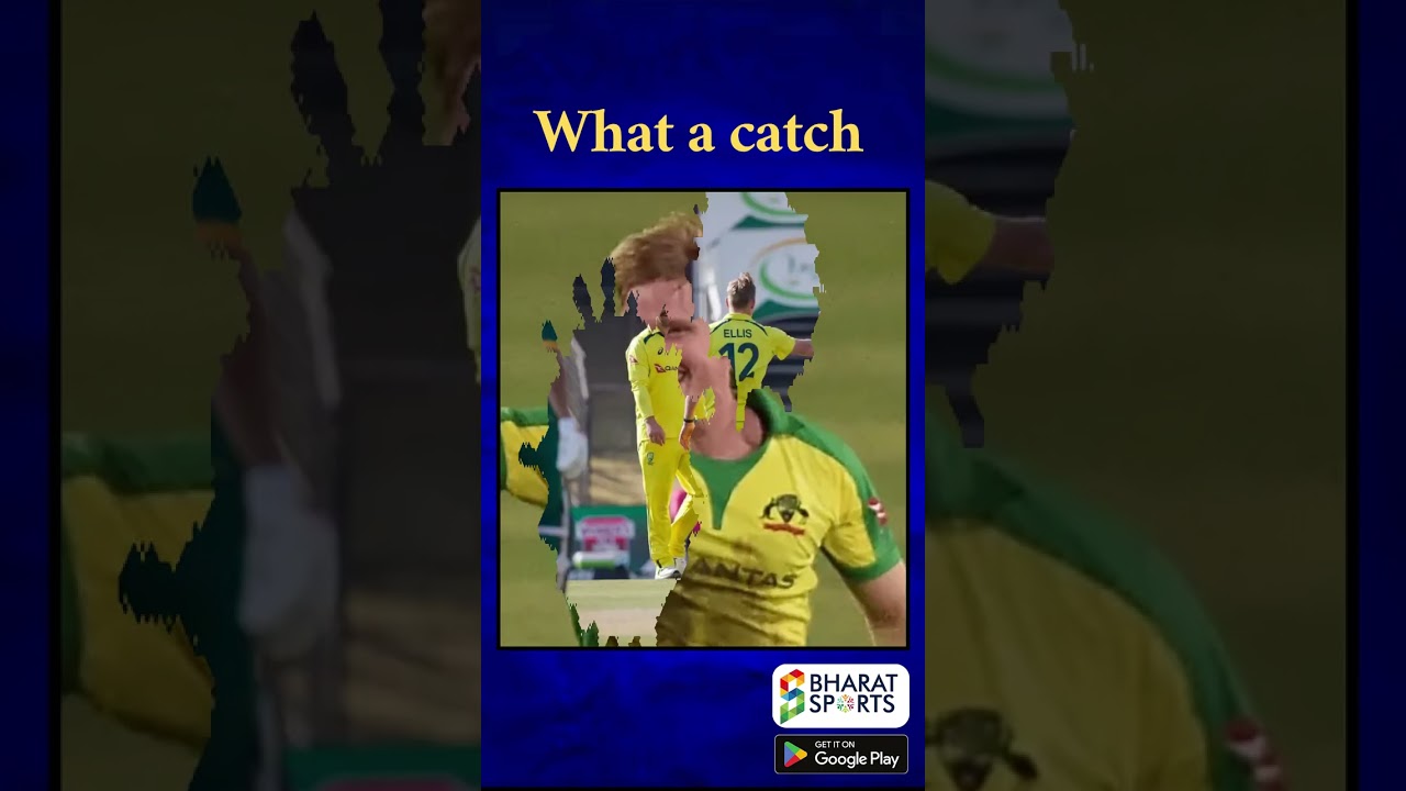 What a catch | Sports News English | Bharat Sports