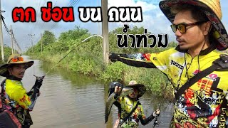 ตกปลาช่อน หมายน้ำท่วมถนน ด้วยกบยางไวเปอร์ ใบพัดท้าย