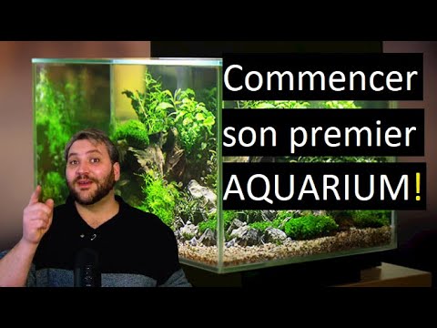 Vidéo: Comment démarrer un aquarium d'eau douce