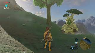 Keeping A Copy Of Hestus Maracas