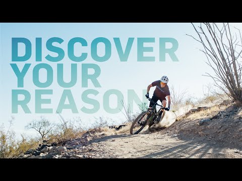 Discover Your Reason