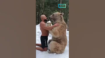 Russians And Bears Is A Love Story That Never Ends 