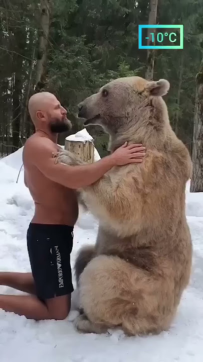 Russians and bears is a love story that never ends