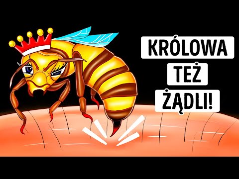 Wideo: 3 sposoby na leczenie przeziębienia