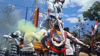 Download Lagu HEBOH! HANOMAN NGAMUK LAGI DI GUNUNGKIDUL. GROGOL RASUL CARNIVAL 2018 MP3