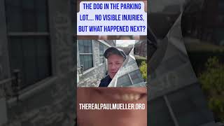 The dog in the parking lot… no visible injuries, but what happened next?
Lexington, Tennessee — Last year, video from a Super Walmart parking lot appeared to show a woman, identified as 57-year-old Kathleen Charles, allegedly striking a dog later identified as “Legend.” Police issued a citation, saying no visible injuries were found, and the dog was returned to her.Now, after checking court records and finding no updates, new questions are surfacing. What happened to Legend? I’ll be calling the clerk today to get answers. Stand by, The dog in the parking lot… no visible injuries, but what happened next?