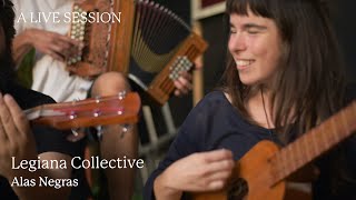 Download Lagu Legiana Collective - Alas Negras acoustic live session at de Lievelinge by Dusk Sounds MP3