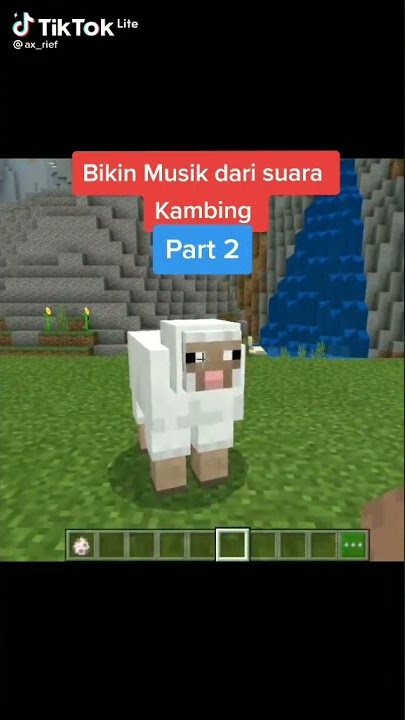 #SUARA KAMBING