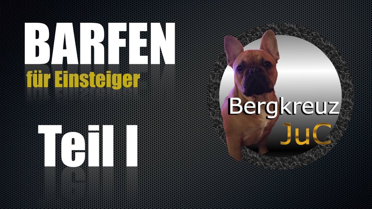 Hund BARFEN Einsteiger Grundausstattung für das Barfen! Biologisch