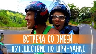 Встреча со змеей и госпиталь на Шри-Ланке | Маленькая Англия и Новый Год | Нувара Элия, Шри-Ланка(Подпишись на наш канал и смотри другие страны https://www.youtube.com/channel/UCcwDl4Ur1bUfPK-R_FKJA4A Шри-Ланка и путешествие по..., 2015-06-02T06:42:35.000Z)