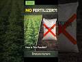 Why Some Farms Never Use Fertilizer. #farming#fertilizer#garden#smallindustries#agriculturetech