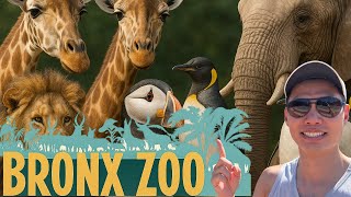 Bronx Zoo Complete Walkthrough | Tickets, Exhibits & Hidden Details