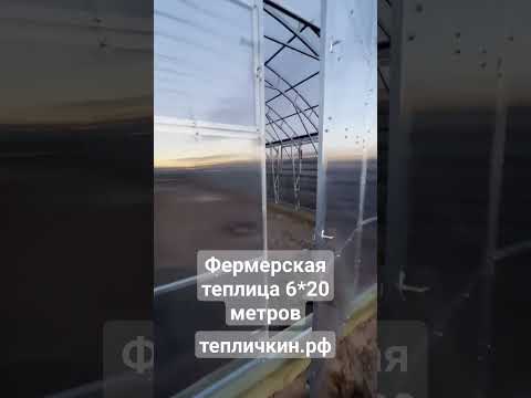 Теплица Прямостенная Фермерская