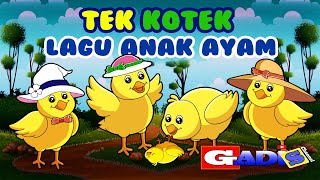 Tek Kotek (Anak Ayam) - Lagu Anak Indonesia Populer by Funny Gadis Kids 30,590 views 1 year ago 4 minutes, 45 seconds