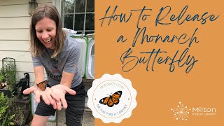 How to Release a Monarch Butterfly | Milton Public Library