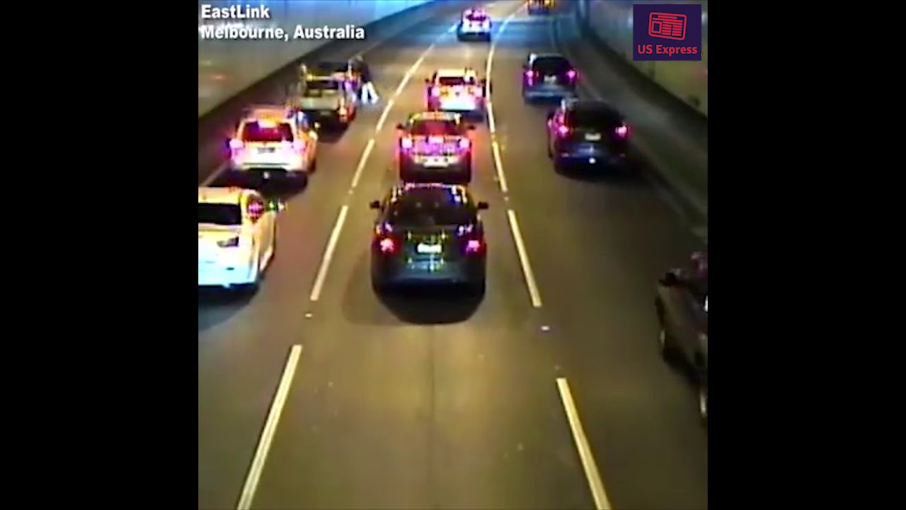 Dog jumps out car window in Australia YouTube