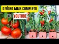 TOMATE EM VASO (DO PLANTIO A COLHEITA) O VÍDEO MAIS COMPLETO DO YOUTUBE