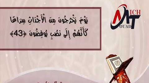 سورة المعارج انس البراق