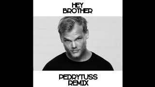 Avicii - Hey Brother (Pedrytuss Remix)