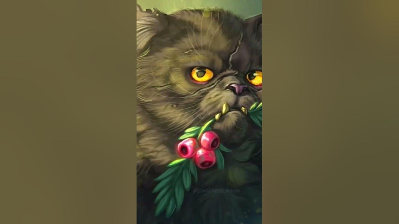 топ 5 мужрых котов из звездного племяни//#огнезвезд#пестролистая#синия ...