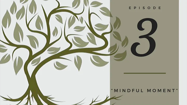 "Mindful Moment": Episode 3