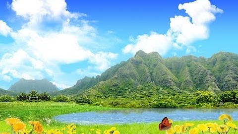 سورة يوسف (ربع الحزب 25) القارئ رعد محمد الكردي