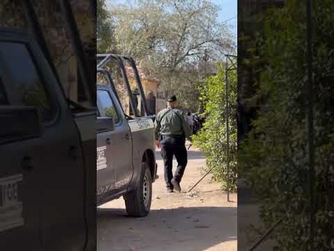Privan de la vida a un hombre en la calle Toltecas, en el sector Palmito.