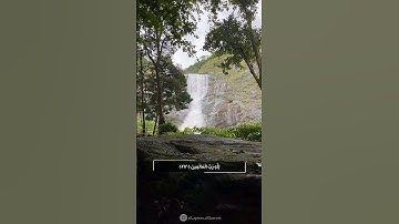 قُلْ إِنَّنِي هَدَانِي رَبِّي إِلَى صِرَاطٍ مُسْتَقِيمٍ ||سورة الأنعام|| بصوت القارئ اسلام صبحي