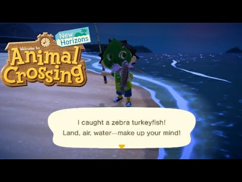 Catching epic fish in animal crossing New Horizons - YouTube